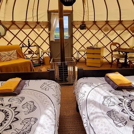 Bronfelen Yurt Hotel Cynghordy Екстериор снимка