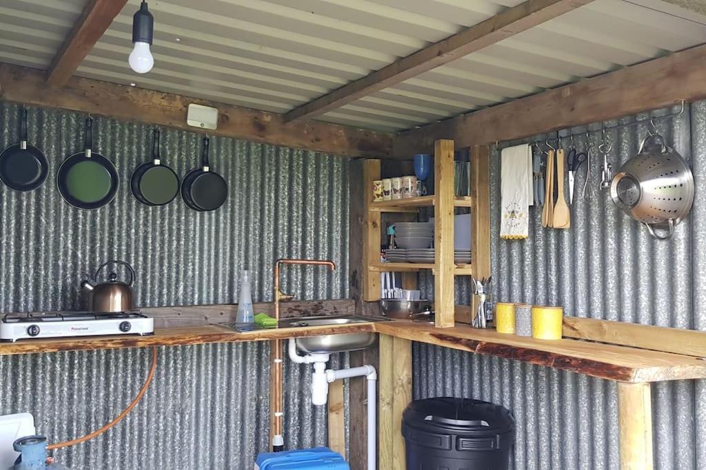 Bronfelen Yurt Hotel Cynghordy Екстериор снимка