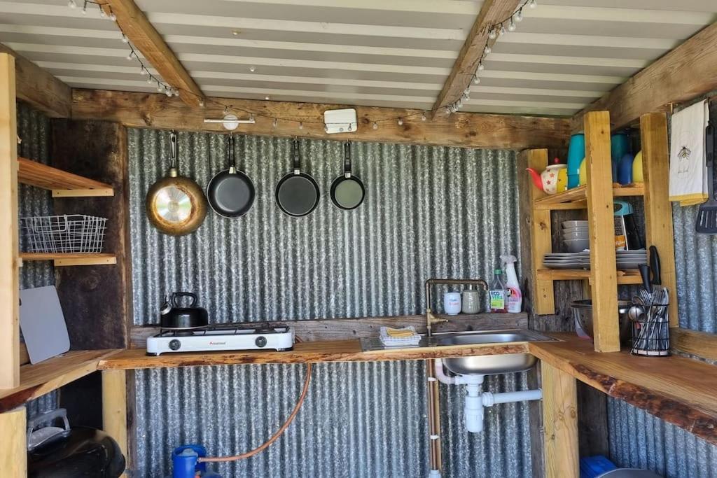 Bronfelen Yurt Hotel Cynghordy Екстериор снимка