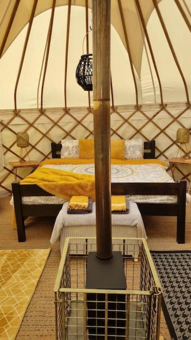 Bronfelen Yurt Hotel Cynghordy Екстериор снимка