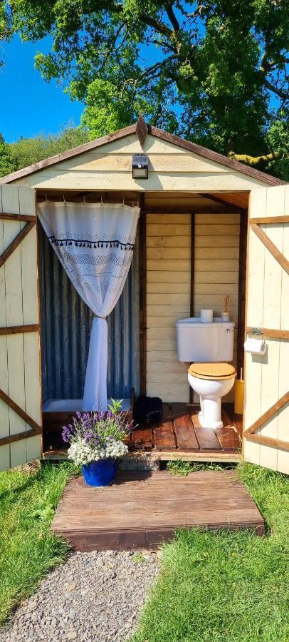 Bronfelen Yurt Hotel Cynghordy Екстериор снимка